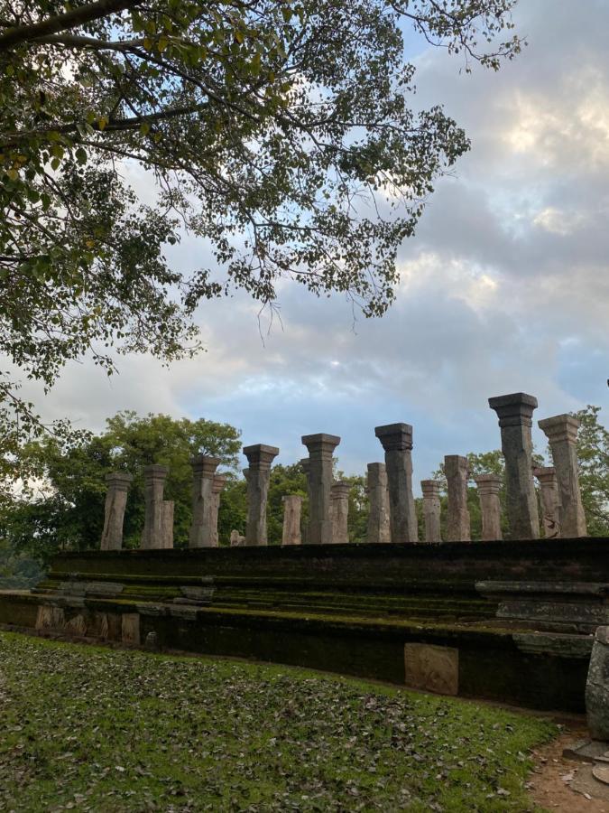 Royal Nest Bed & Breakfast Polonnaruwa Exterior photo